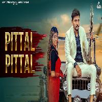 Pittal Pittal Pardeep Boora Pooja Hooda New Haryanvi Song 2023 By Narender Bhagana Poster